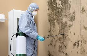 Best Crawl Space Mold Remediation  in Foley, AL